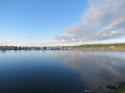IMG_0819